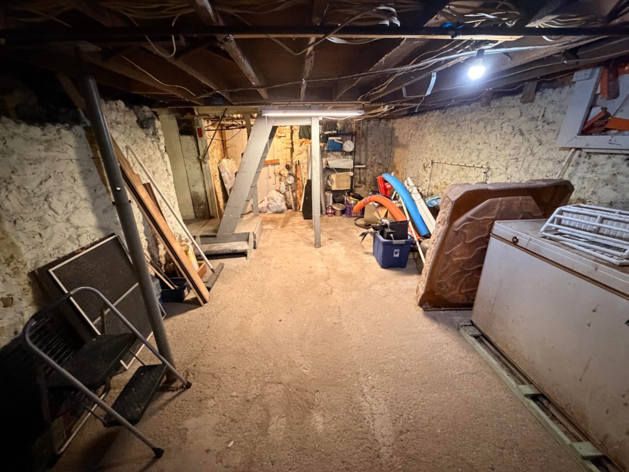 Michigan basement